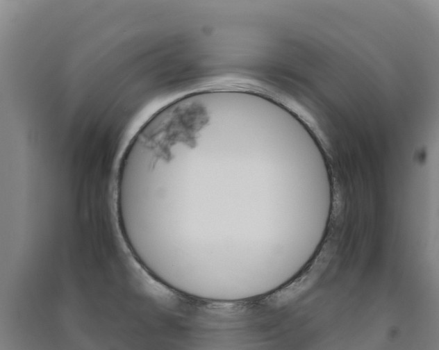 X0000091481478200708161138