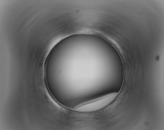 X0000091481479200708161138