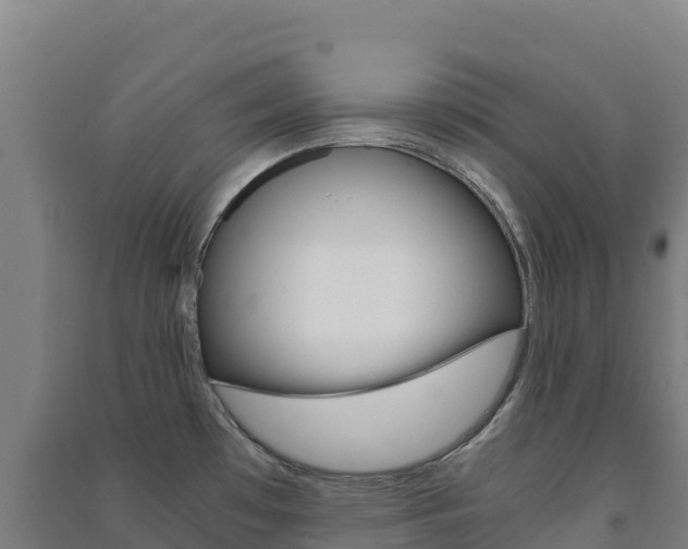 X0000091481481200708161138