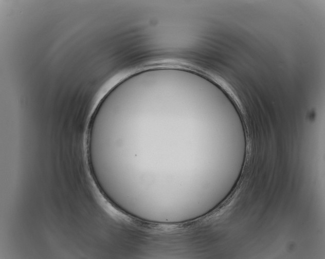 X0000091481482200708161138