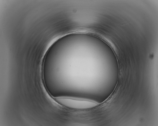 X0000091481483200708161138