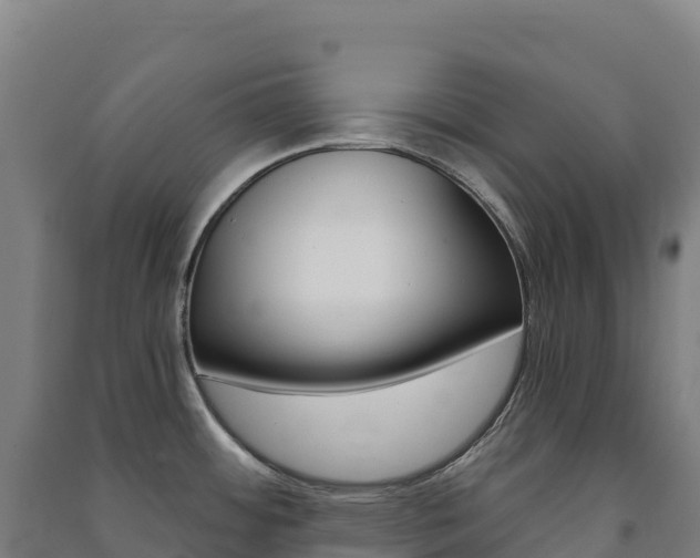 X0000091481484200708161138