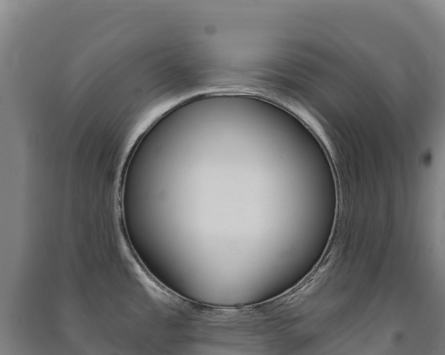 X0000091481485200708161138