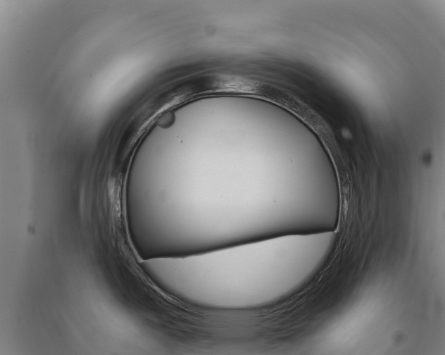 X0000091481487200708161138