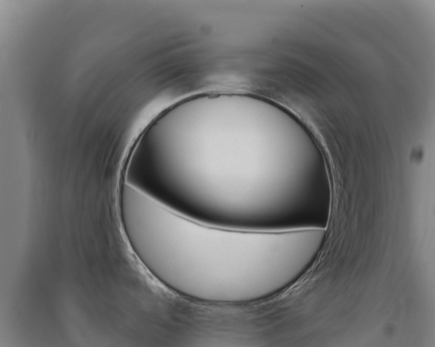 X0000091481488200708161138