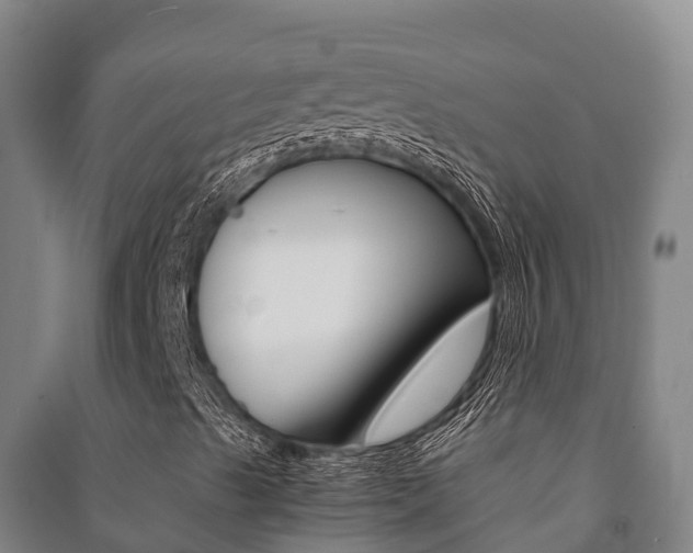 X0000091481489200708161137