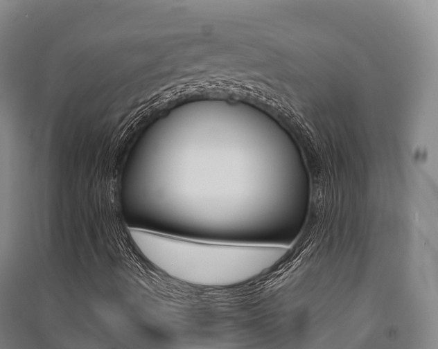 X0000091481490200708161137