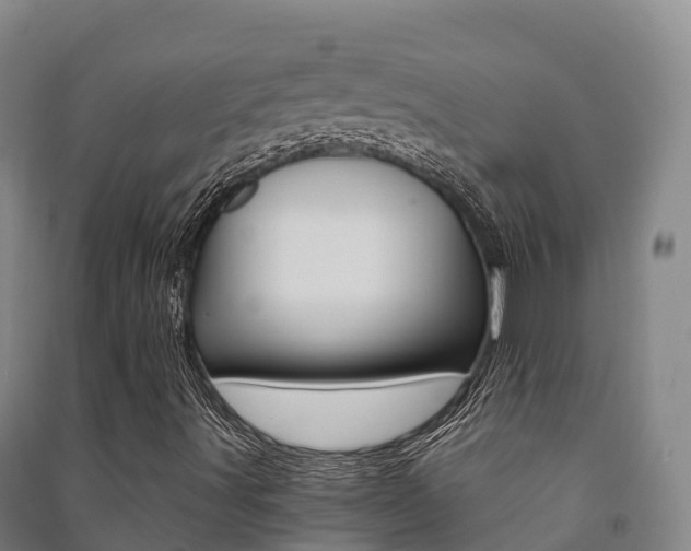 X0000091481491200708161137
