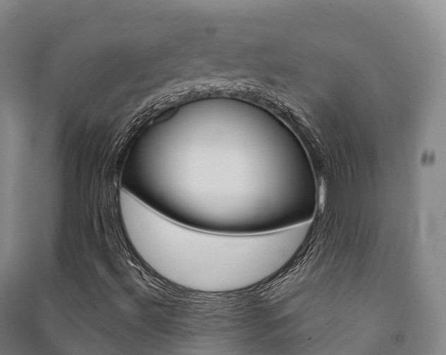 X0000091481492200708161137
