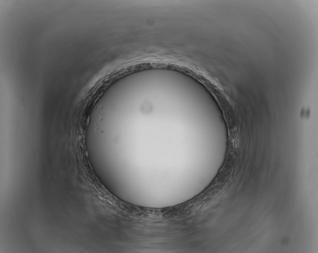 X0000091481495200708161137