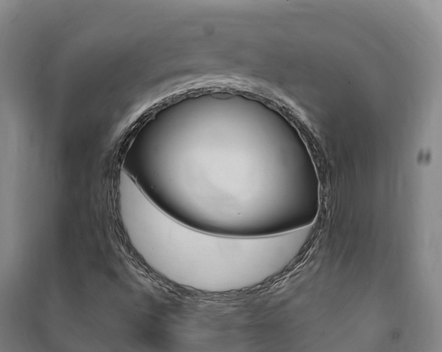 X0000091481496200708161137