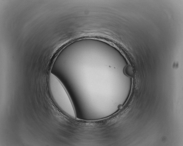 X0000091481497200708161137