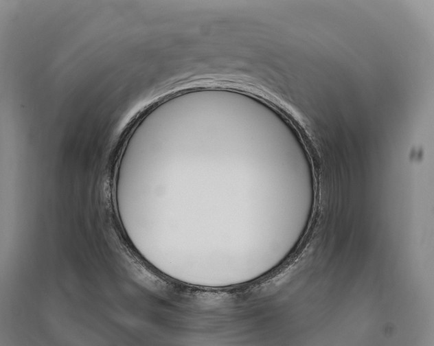 X0000091481498200708161137