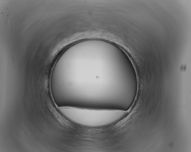 X0000091481499200708161137