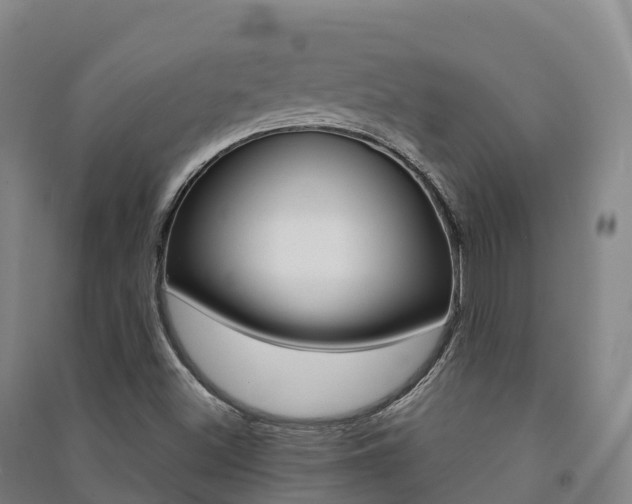 X0000091481500200708161137