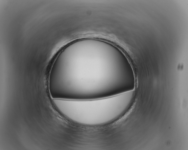 X0000091481501200708161137