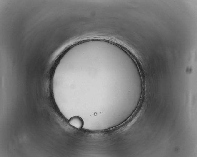 X0000091481502200708161137