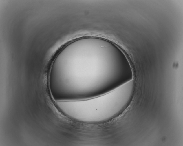 X0000091481503200708161137