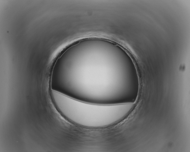 X0000091481504200708161137