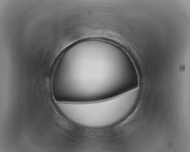 X0000091481505200708161137