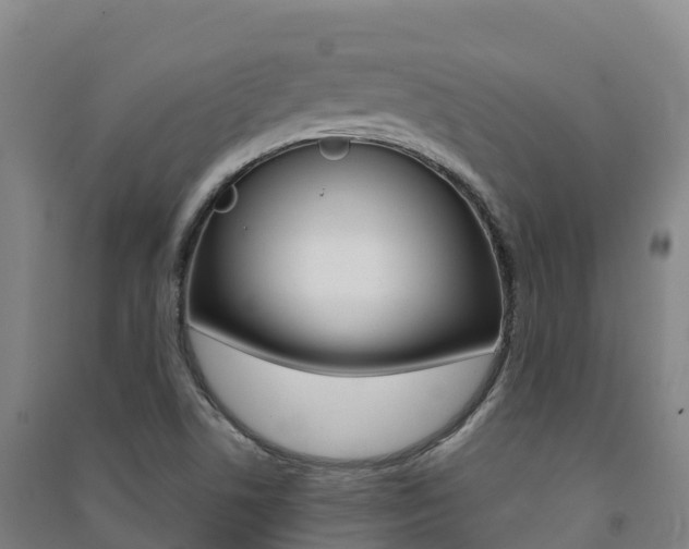 X0000091481506200708161138