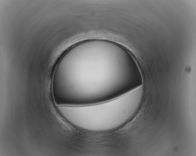 X0000091481507200708161138