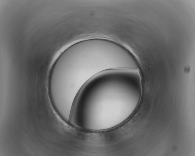 X0000091481508200708161138