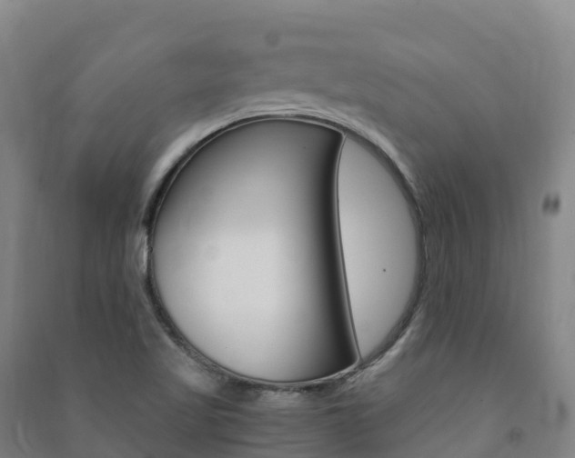 X0000091481509200708161138
