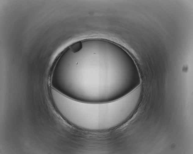 X0000091481510200708161138