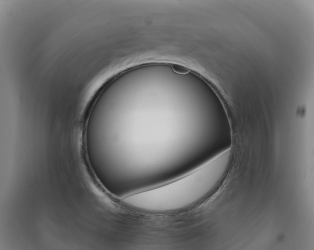 X0000091481511200708161138