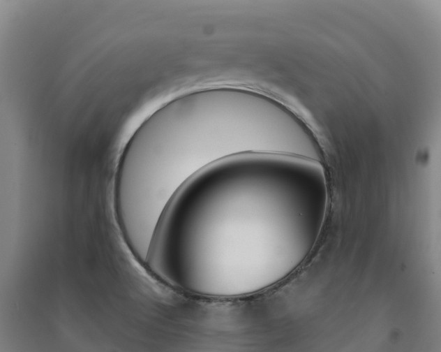 X0000091481512200708161138