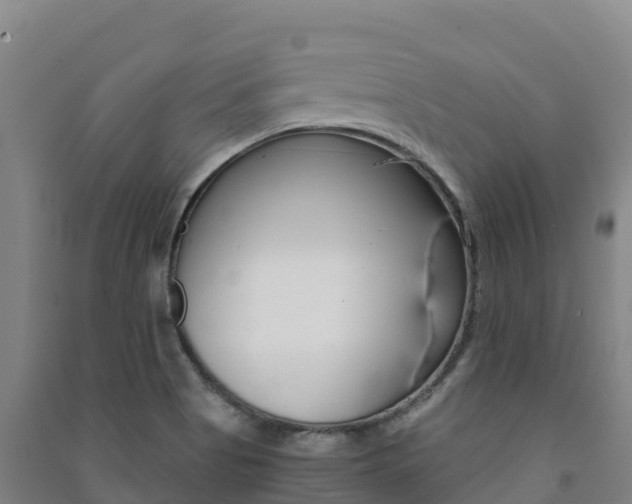 X0000091481513200708161138