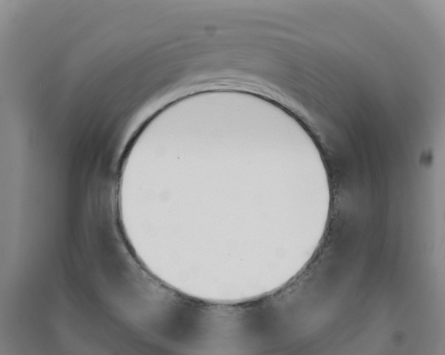 X0000091481514200708161138