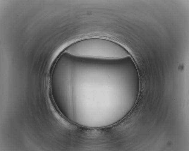 X0000091481515200708161138