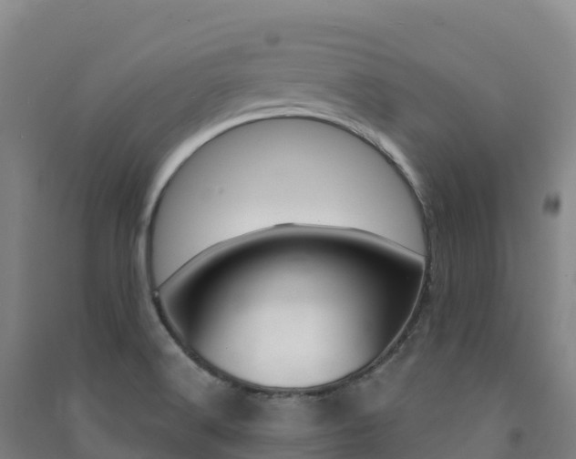 X0000091481516200708161138