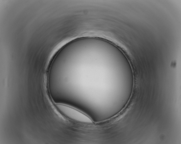 X0000091481517200708161138