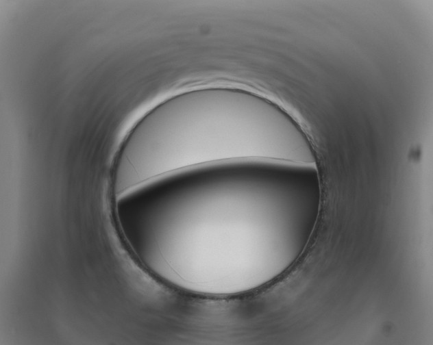 X0000091481518200708161138