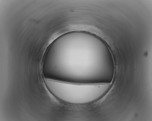 X0000091481521200708161138