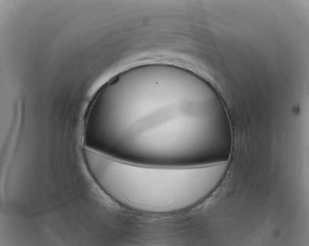 X0000091481522200708161138