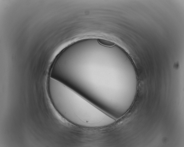 X0000091481523200708161138
