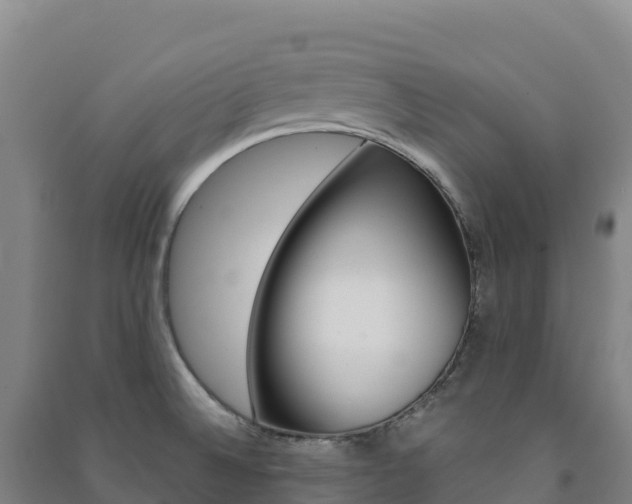X0000091481524200708161138