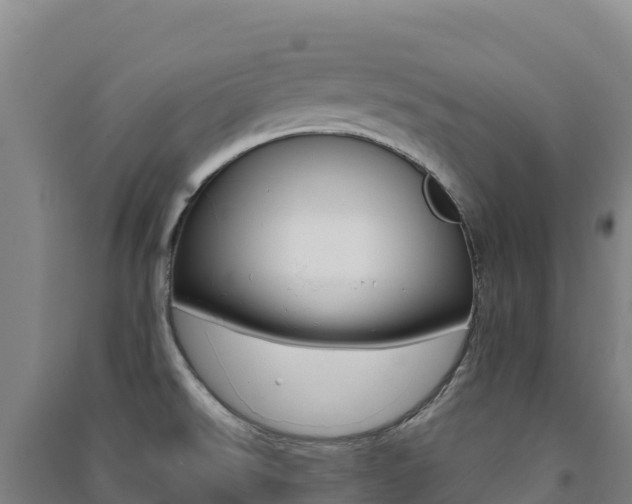X0000091481526200708161138