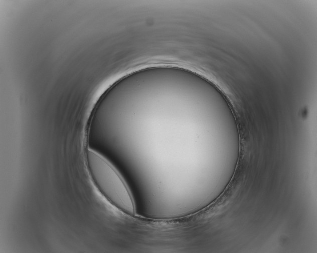 X0000091481527200708161138