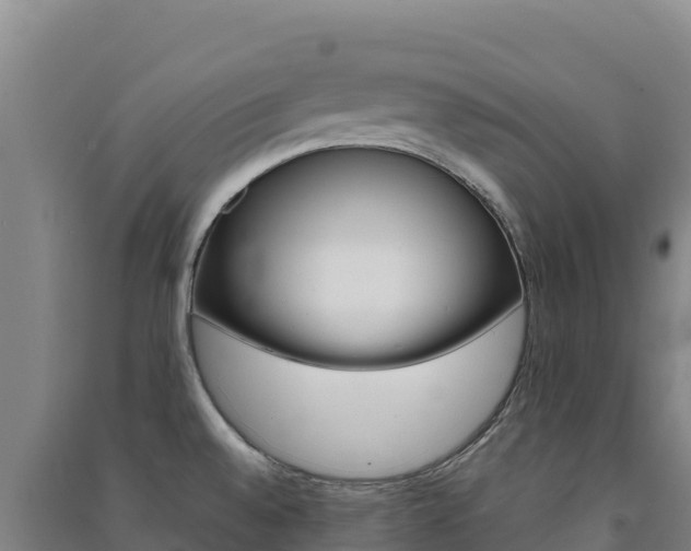 X0000091481528200708161138