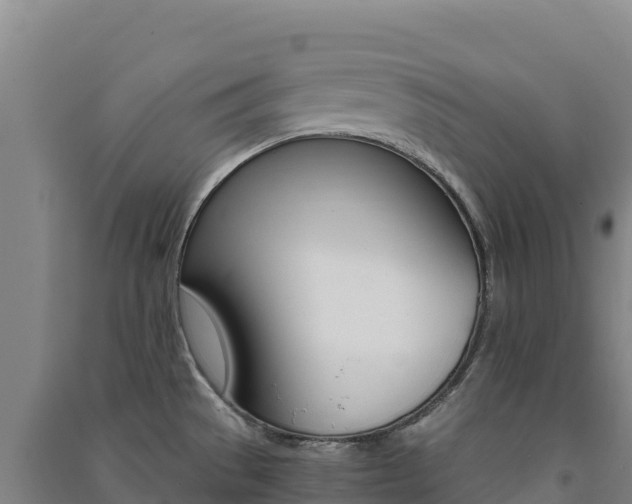 X0000091481529200708161138