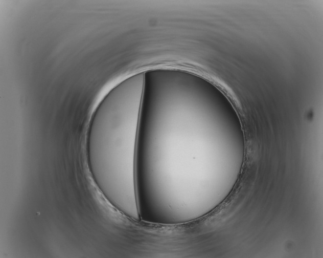 X0000091481530200708161138