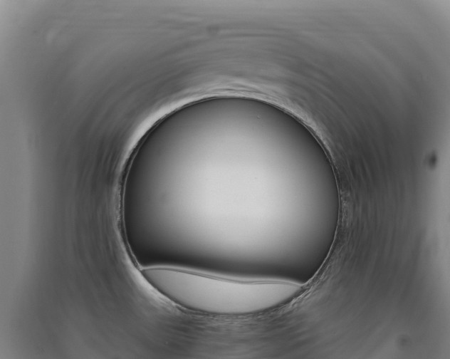 X0000091481531200708161138