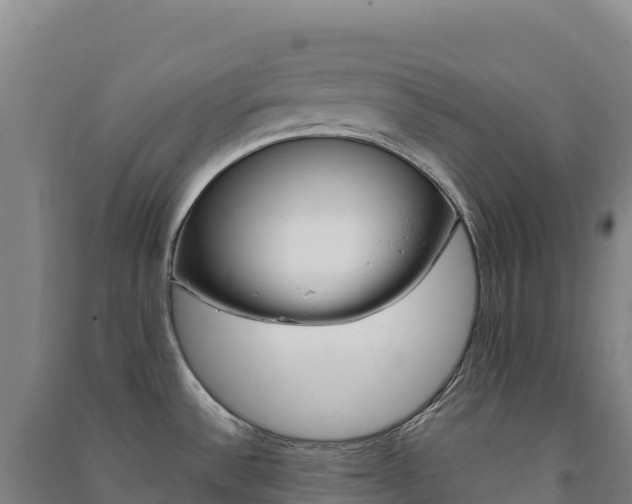 X0000091481532200708161138