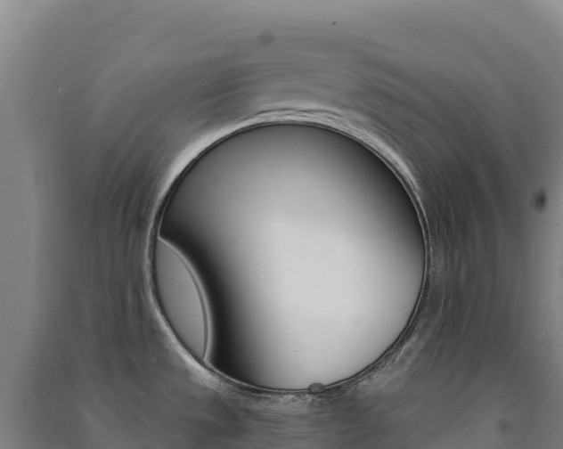 X0000091481533200708161138