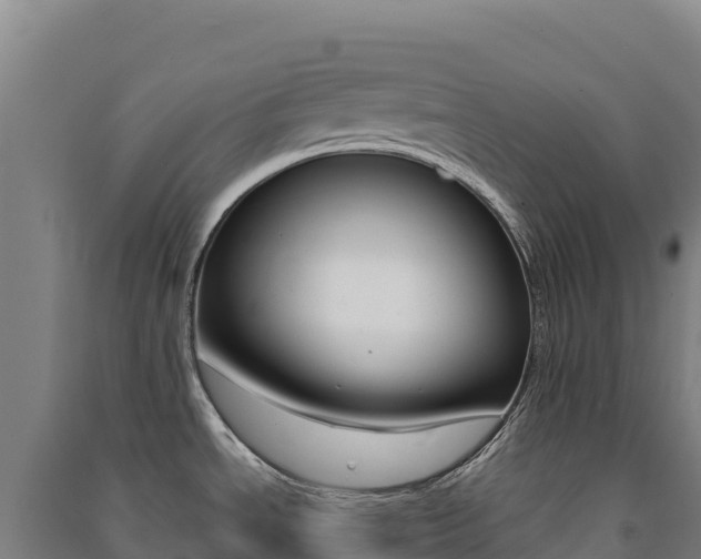 X0000091481534200708161138